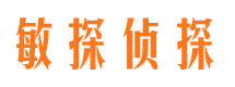 清城侦探公司